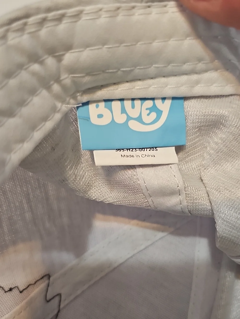 Bluey this new